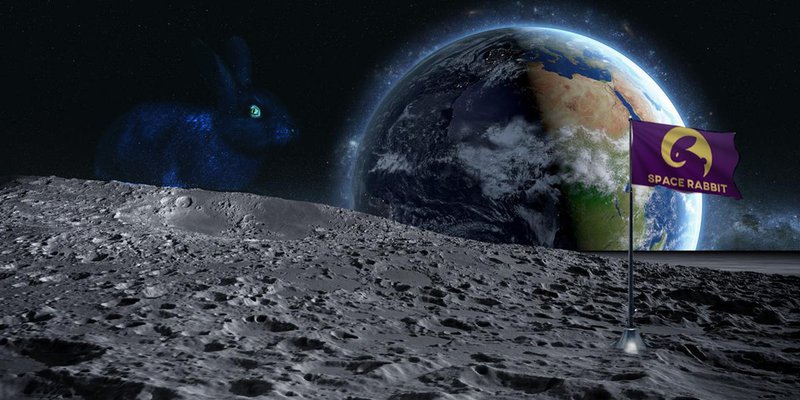 Space-Rabbit Nuestro mejor instructor y amigo!