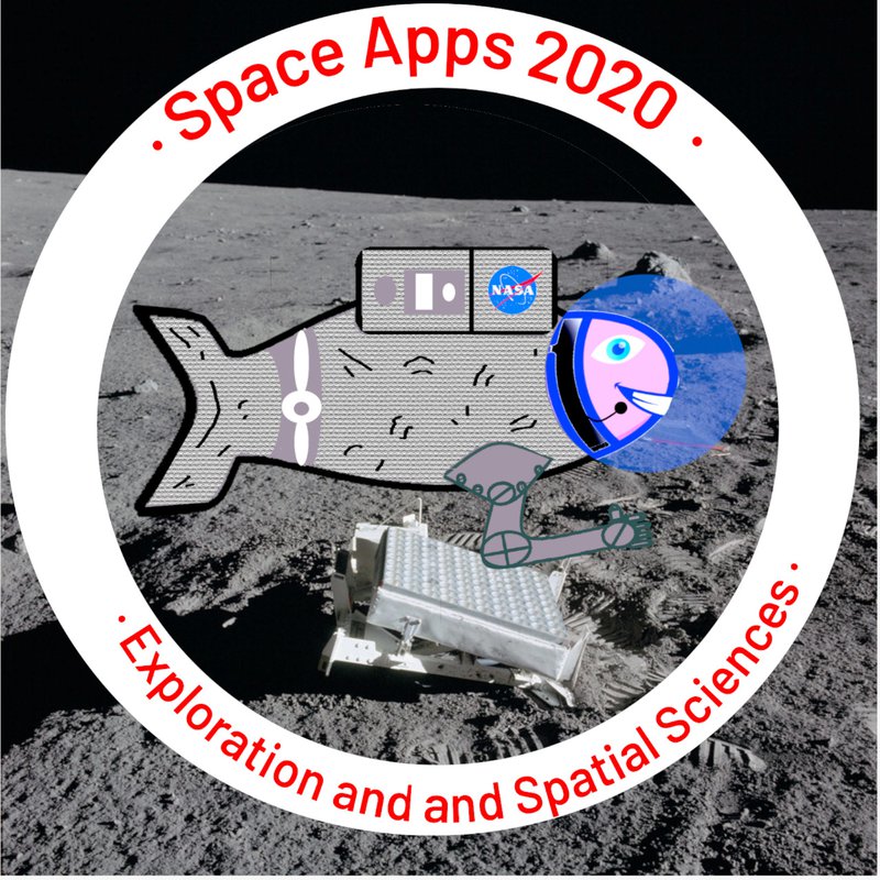 The Nest Education Program patch.