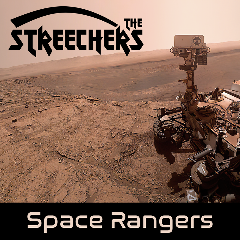 So… We decided to finish a song we were working at during Space Apps Challenge and officially release it as a single! Check out our website (https://thestreechers.space/) for the links to the popular streaming services!