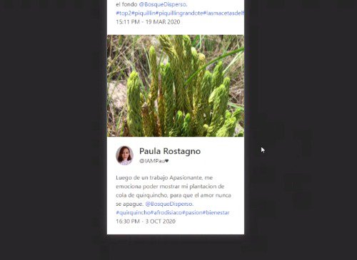 This is how our ranking will look like! :) @Pau is #3 worldwide, lol!