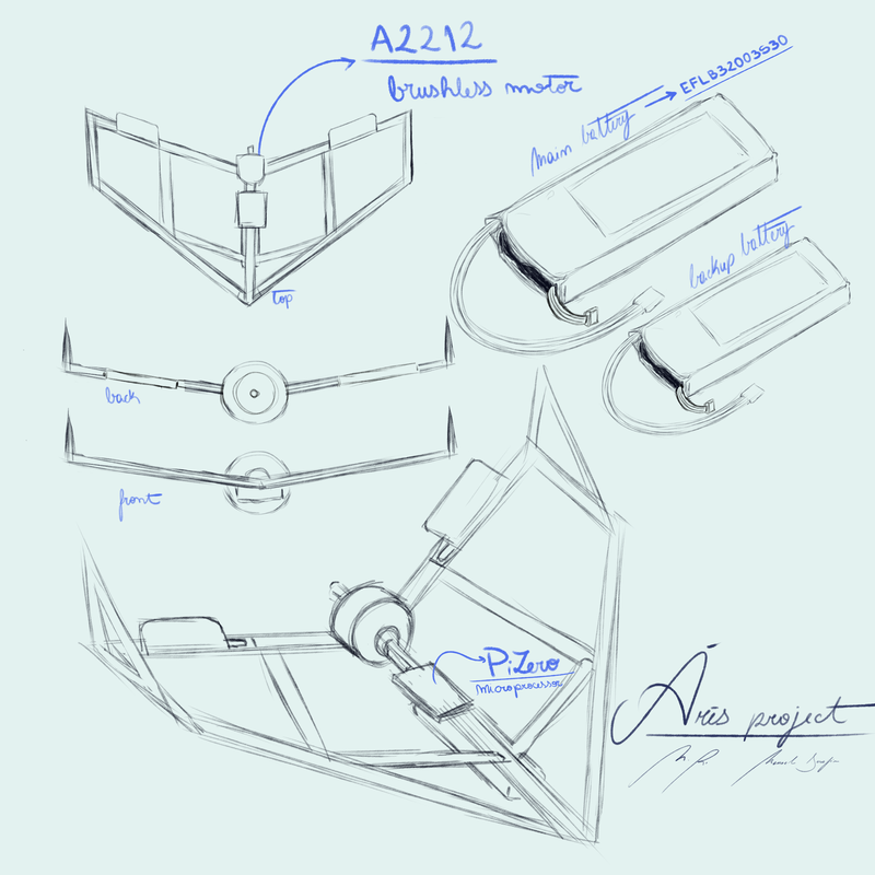 We've got a brainstorm of ideas! In the first 3 days of gathering info for our project, we plan on building a glider that gathers data from satellites all over the world to prevent possible fire spreading and stabilizing conflagration areas.