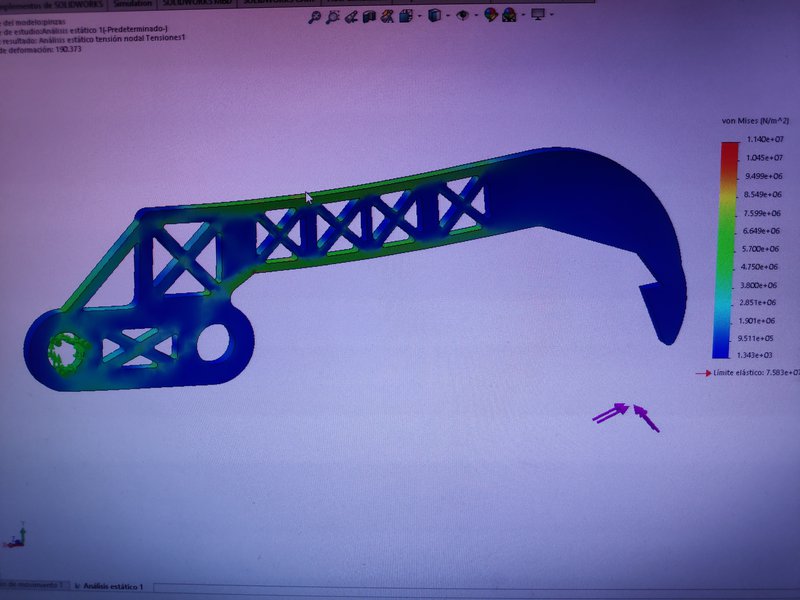 Las primeras simulaciones estructurales.