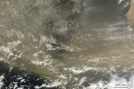 MODIS on NASA's Terra captured this image of dust blowing off the coast of West Africa on June 22 , 2007 . The storm lasted several days , crossing the Atlantic Ocean.