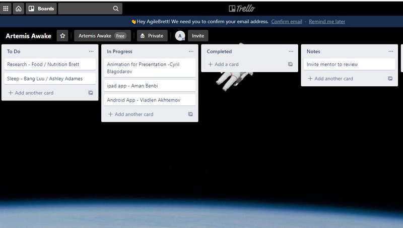 Agile Project Management - Trello Board - Tasks for Team Members