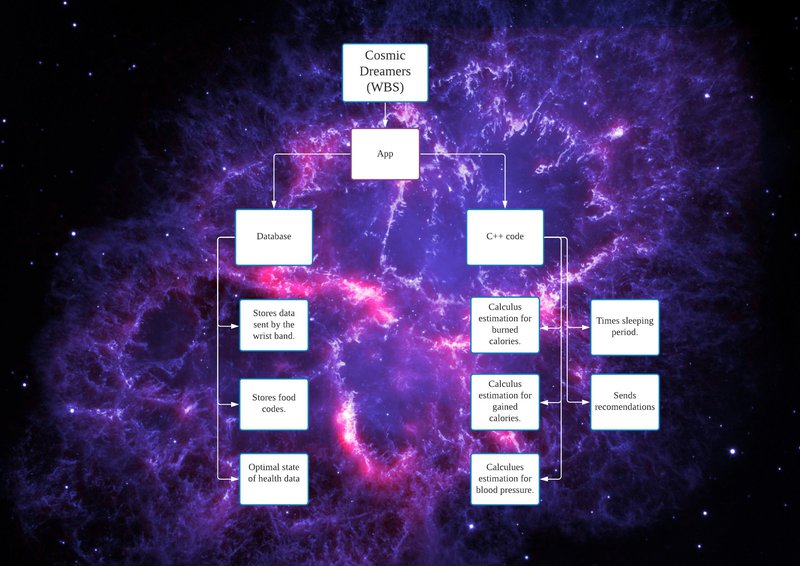 Work Breakdown Structure