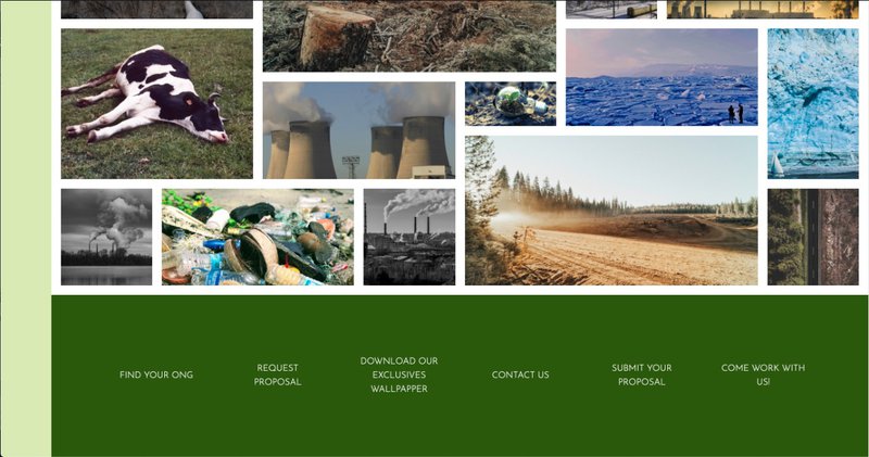 At the bottom of the site there are other news and the footer. At the bottom you can donate to NGOs, download our wallpaper and even make a donation proposal.